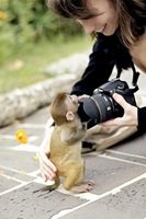 Close photography